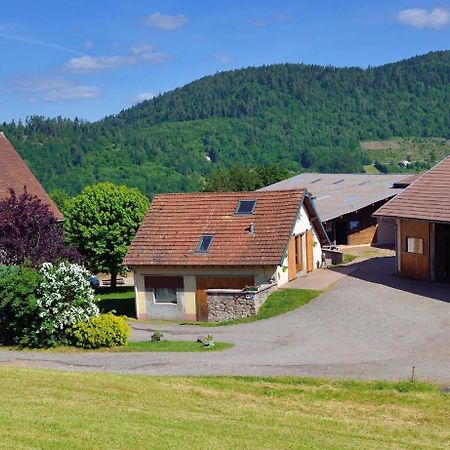 Chambres D'Hotes Hebergement F.Mathieu Saint-Maurice-sur-Moselle Buitenkant foto
